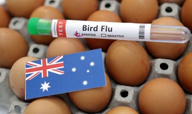 Bird flu spreads to seventh Australian poultry farm