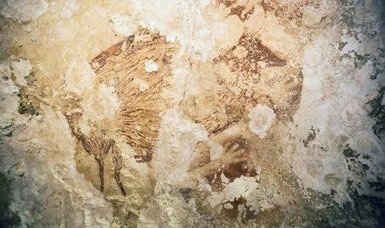 Rare ancient cave paintings found in south-eastern France