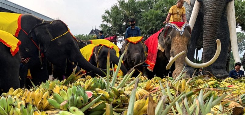 ELEPHANTS HONOURED IN THAILAND AS PART OF NATIONS HERITAGE