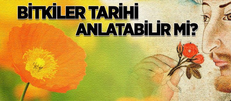 Bitkiler Tarihi Anlatabilir Mi Fikriyat Gazetesi