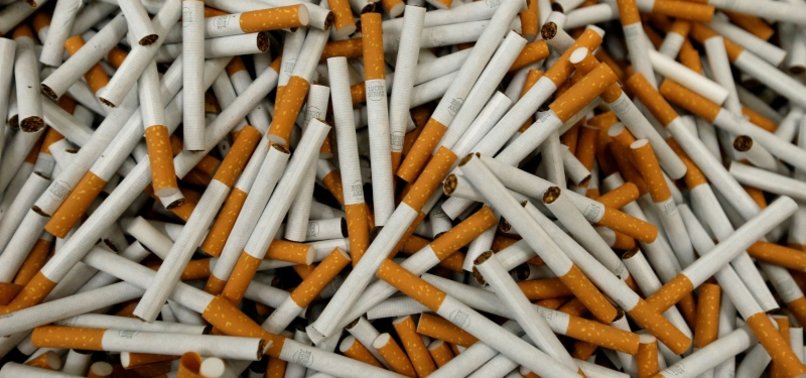 SWISS OPPOSE GOVERNMENT ON MEDIA SUBSIDIES, TOBACCO ADVERTISING