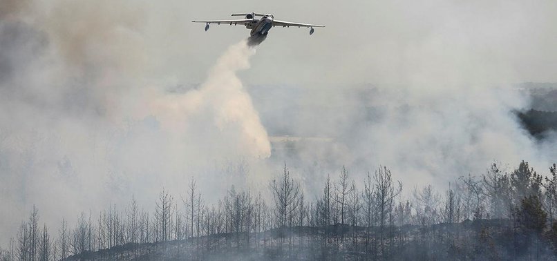 98 MASSIVE FOREST FIRES BROUGHT UNDER CONTROL IN TURKEY