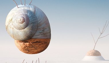 DİN VE AKLIN SÜT KARDEŞLİĞİ