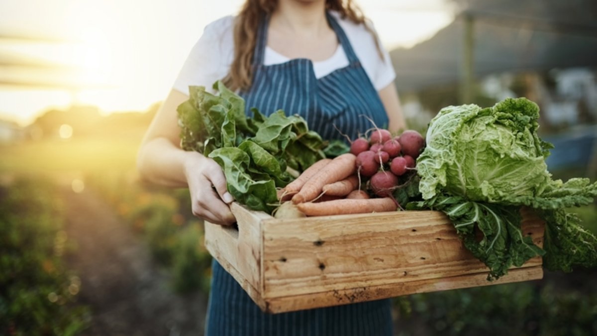 Sürdürülebilir Gastronomi: Çevre Dostu Mutfaklar