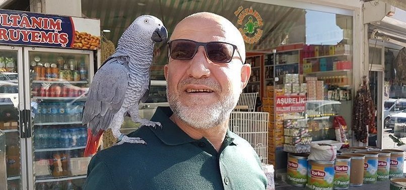 TURKISH MAN, PET PARROT GEAR UP FOR MECCA PILGRIMAGE