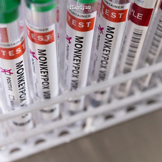 Maymun çiçeği virüsün görüldüğü ülkeler