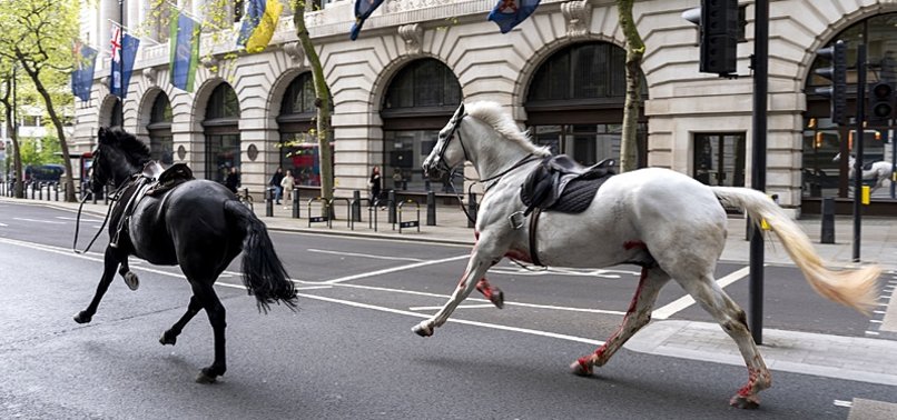 ESCAPED ARMY HORSES BOLT THROUGH CENTRAL LONDON