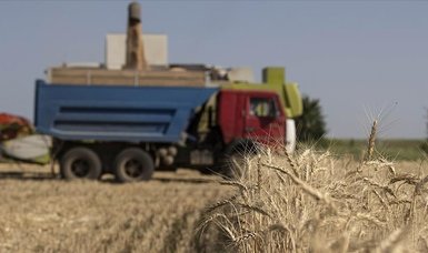 EU extends tariff-free access for Ukrainian agricultural goods