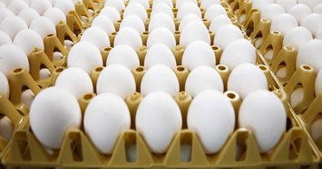Aldi withdraws eggs from sale