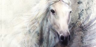 Türklerin yürütücü gücü: Atlar