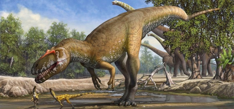 NEW DINOSAUR TRACKS FROM 113M YEARS AGO REVEALED BY TEXAS DROUGHT