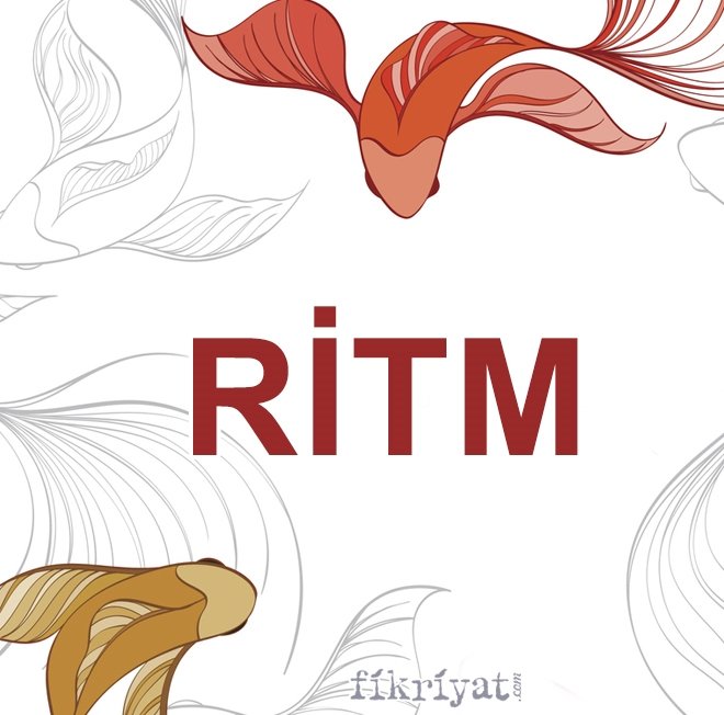 RİTM