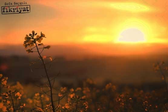 Erken uyanmanın faziletleri