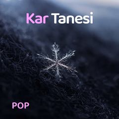 Tek Başına