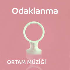 Gerçeklere odaklanma