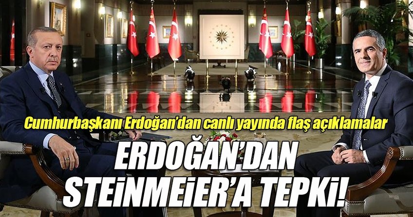 Erdoğan’dan Steinmeier’a tepki: Kendisine teessüf ediyorum