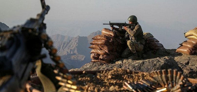8 PKK TERRORISTS KILLED IN SE TURKEY