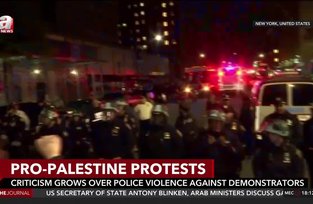 Criticism grows over U.S. police violence against pro-Palestine university student protesters