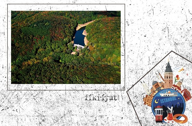 Belgrad Ormanı gezisi