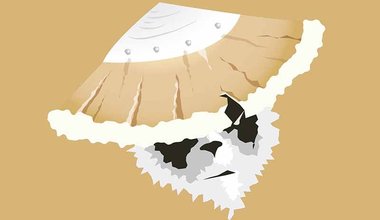 KUNG FU PANDA NASIL DEİST OLDU?