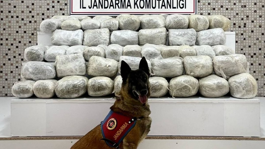 ZEHİR TACİRLERİNE OPERASYON