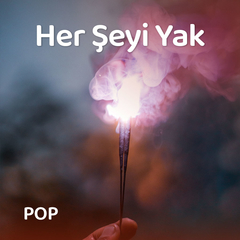 Her Şeyi Yak
