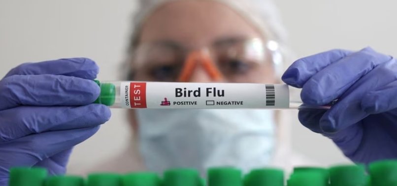 FRANCE KICKS OFF BIRD FLU VACCINATION DESPITE TRADE BACKLASH RISK