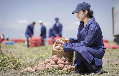 PepsiCodançiftçileresürdürülebilirtarımdesteği