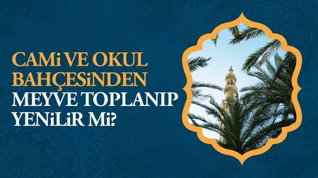 Cami ve okul bahçesinden meyve toplanıp yenilir mi?