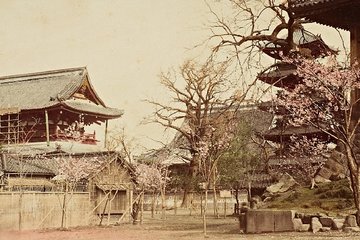 Sultan Abdülhamid’in arşivinden Japonya fotoğrafları