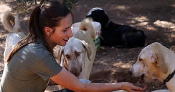 Dutch woman in Turkey enjoys caring for stray animals