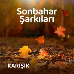 Sonbahar Geldi