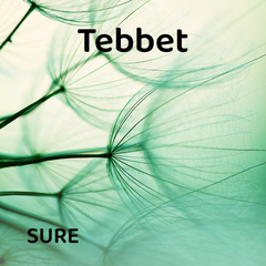 Tebbet Suresi | Farklı Hocalardan Dinle