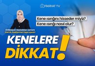 Dikkat kene çıkabilir!
