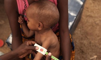 4.4M people in northeast Nigeria could face acute hunger: Official