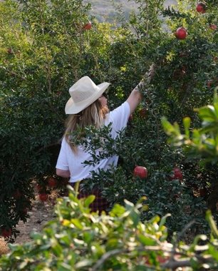 Mersin'in Kalbinde Lezzet Şöleni