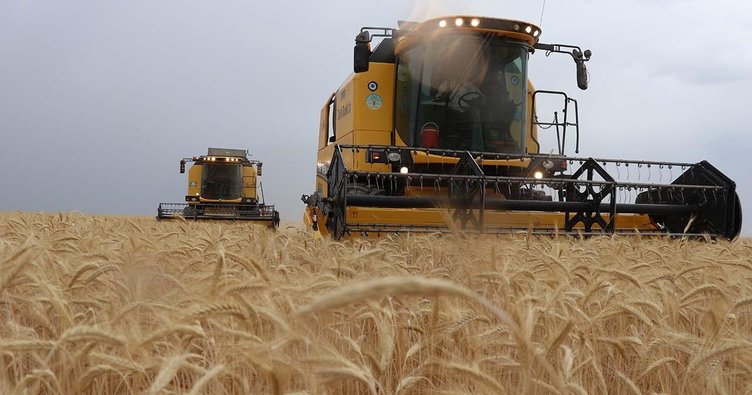 Tarım ÜFE kasımda aylık bazda yüzde 7 arttı