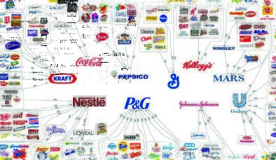 SİNDİRİLMESİ ZOR GIDA MESELELERİ: YER MİSİN, YEMEZ MİSİN?