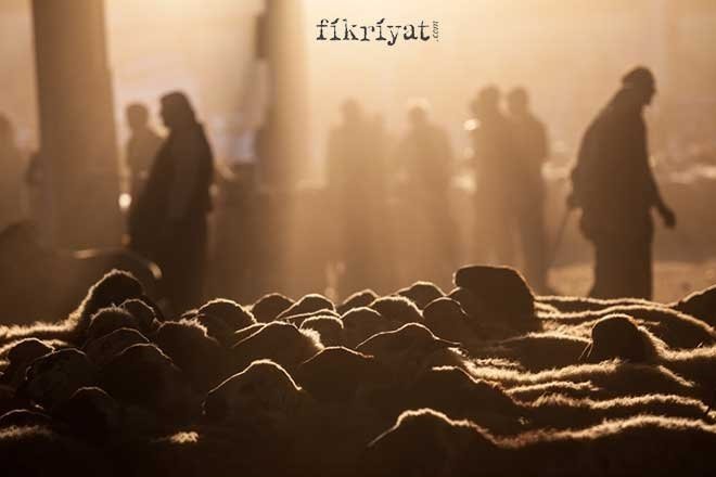 Kurban keserken yapılması gerekenler