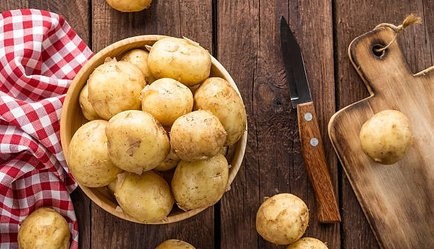 Altın yumru patates