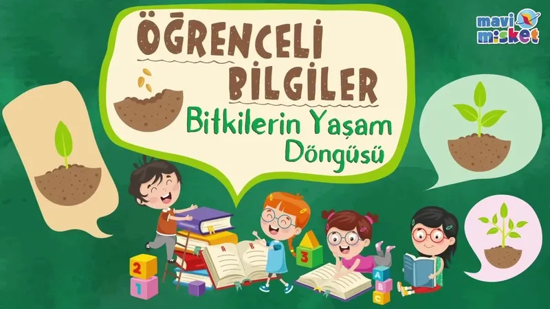 Bitkilerin yaşam döngüsü