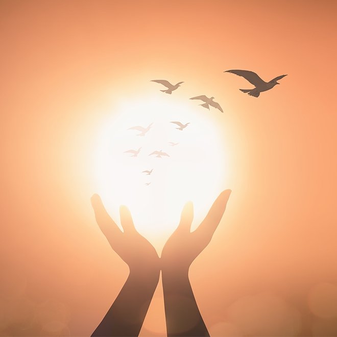 İnsanın yaratılış gayesi