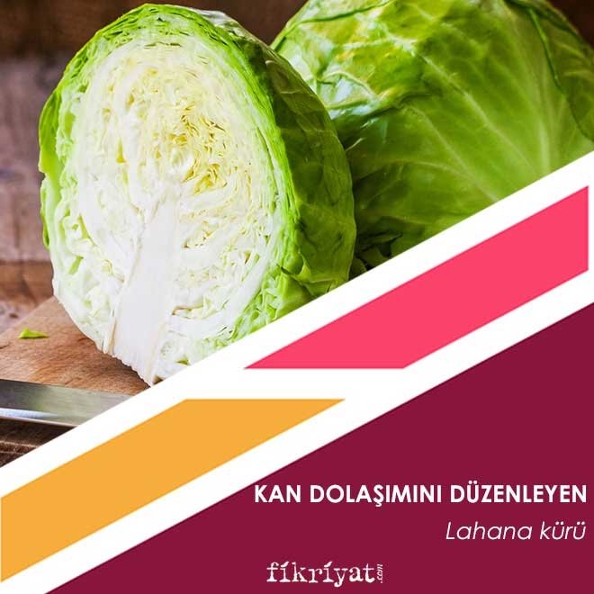 Hangi kürü yapalım: Kan dolaşımını düzenleyen lahana kürü - İbrahim Saraçoğlu