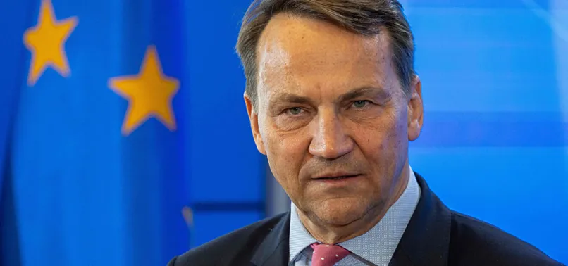 POLISH FOREIGN MINISTER SAYS NATO SUMMIT WILL SIGNAL UNITY TO PUTIN