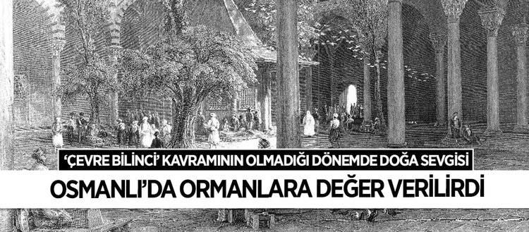 Osmanlı’da ormanları yakanlara ağır cezalar verilirdi