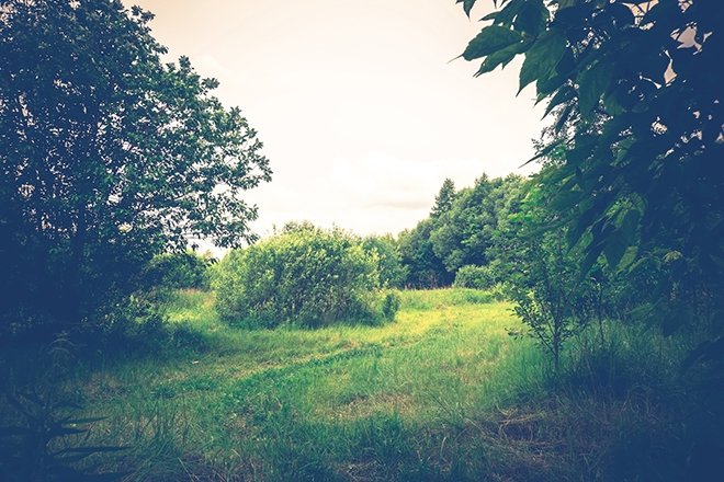 Edebiyatın önemli şairlerinden bahar konulu şiirler