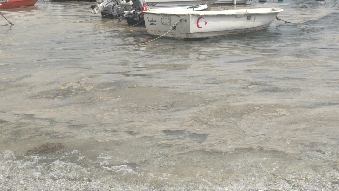 BURSA’DA MÜSİLAJ