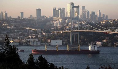 Kyiv thanks UN and Türkiye for 'sticking to' grain export deal