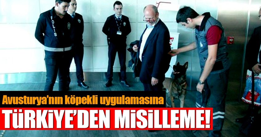 Avusturya’nın köpekli uygulamasına Türkiye’den misilleme!