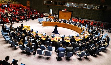 UN Security Council fails to reach consensus on Palestine's membership bid